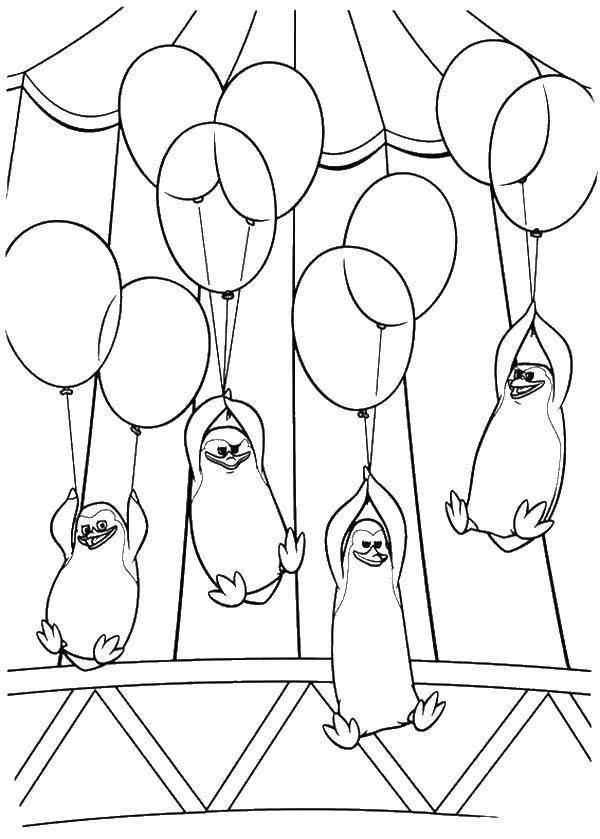 Coloring The penguins in the circus. Category the penguin. Tags:  animals, penguins, circus.