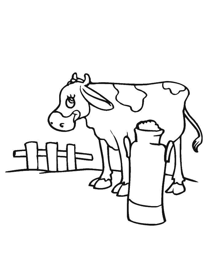 Coloring The cow gives milk. Category Milk. Tags:  milk, cow.