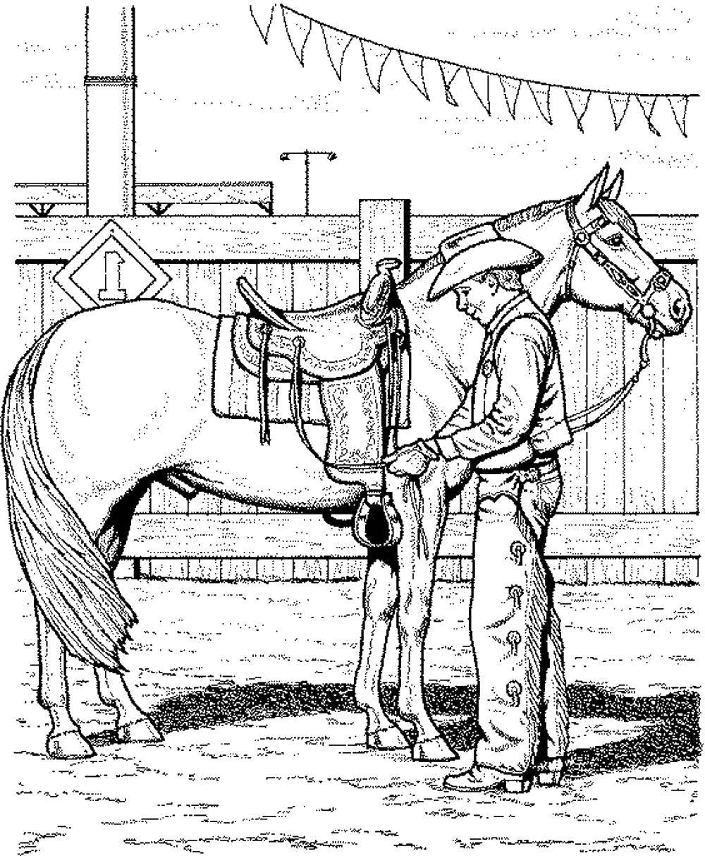 Название: Раскраска Ковбой с лошадью. Категория: лошади. Теги: лошадь, ковбой.