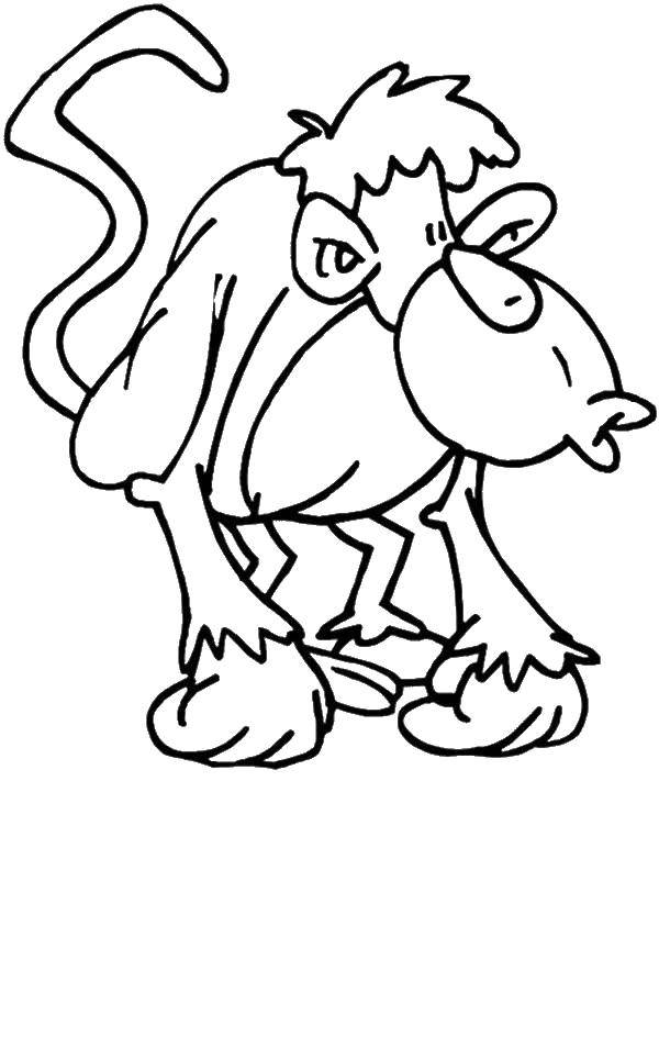 Coloring Monkey. Category Animals. Tags:  APE.