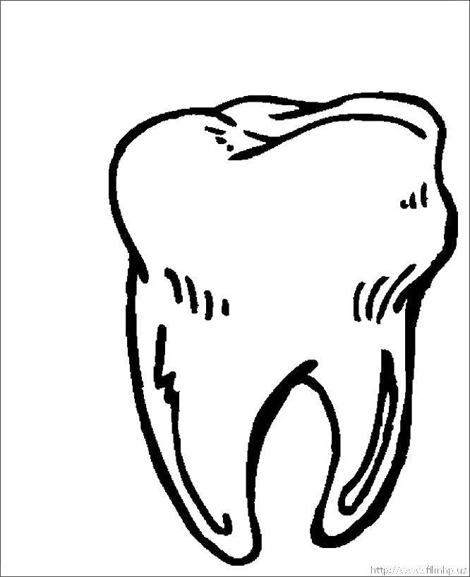 Coloring Tooth. Category The care of teeth. Tags:  The care of teeth.