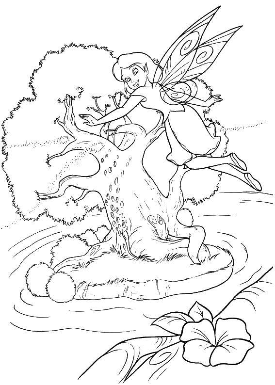 Название: Раскраска Фея летит на дерево. Категория: Диснеевские мультфильмы. Теги: Феи, дерево.