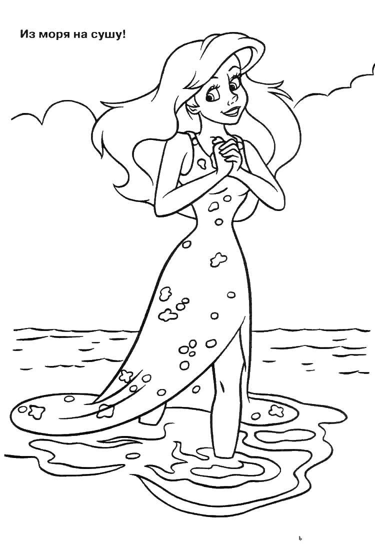 Coloring Ariel became a human. Category Disney cartoons. Tags:  Ariel, mermaid.