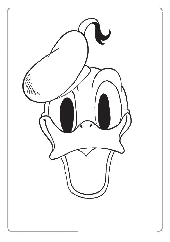 Coloring Donald duck. Category cartoons. Tags:  cartoons, Donald Duck.