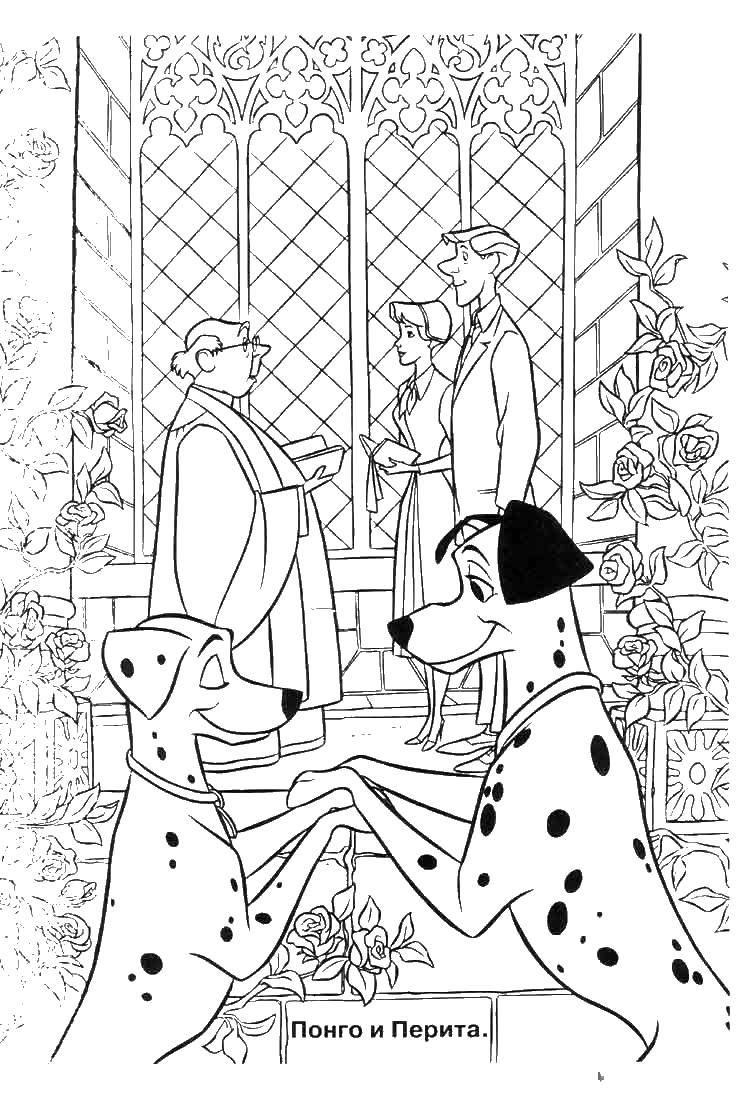 Coloring Wedding Dalmatians. Category Disney cartoons. Tags:  That 101, Dalmatians.