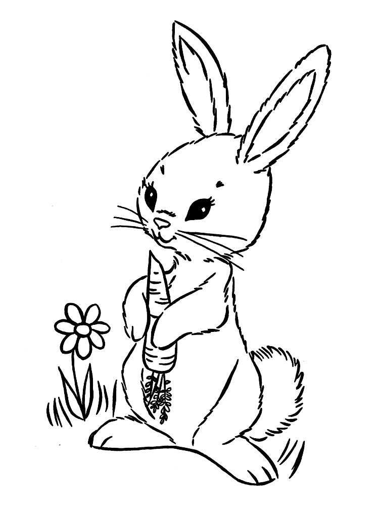 Coloring Bunny with carrot. Category Pets allowed. Tags:  hare.