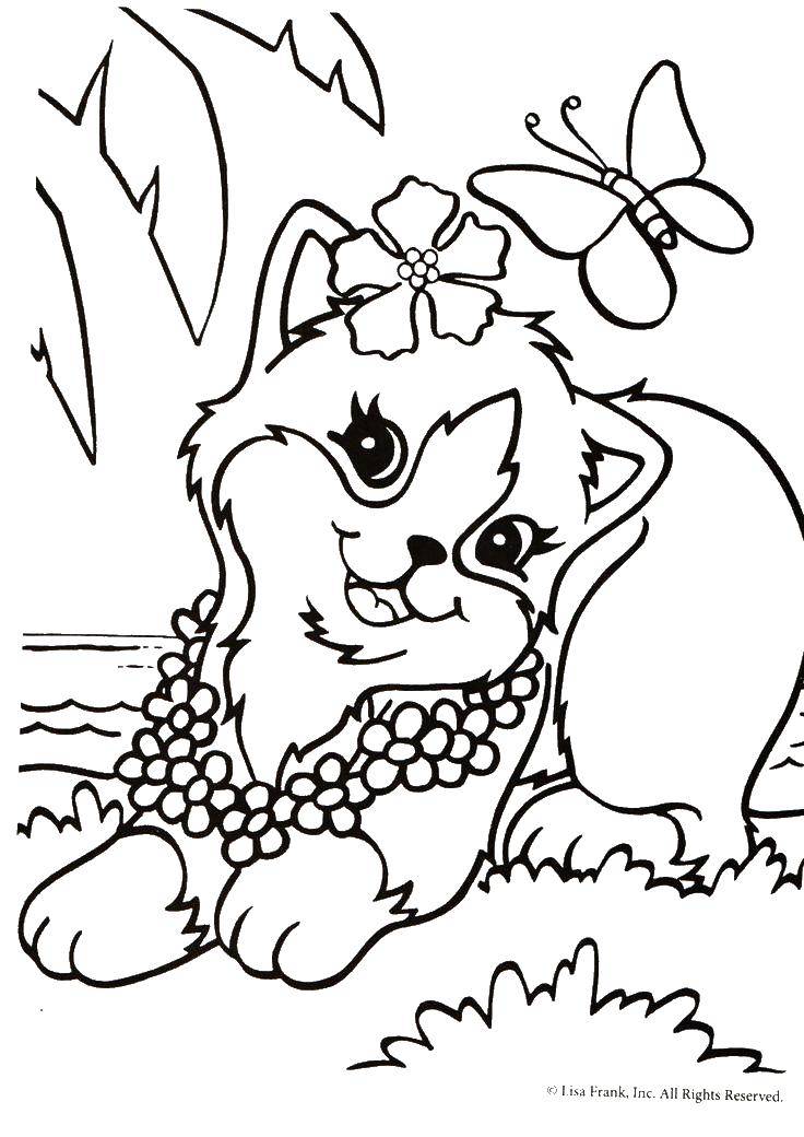 Coloring Kitty. Category Animals. Tags:  animals, cat, kitten.