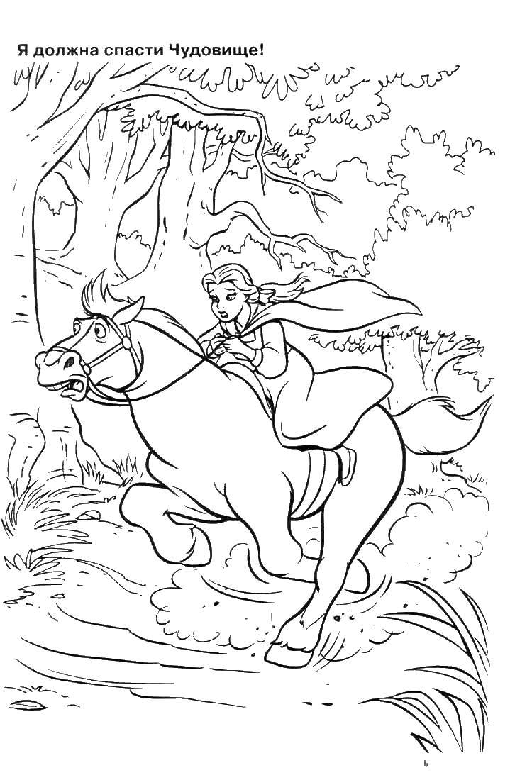 Название: Раскраска Белл скачет на коне. Категория: Диснеевские мультфильмы. Теги: Белл, красавица.