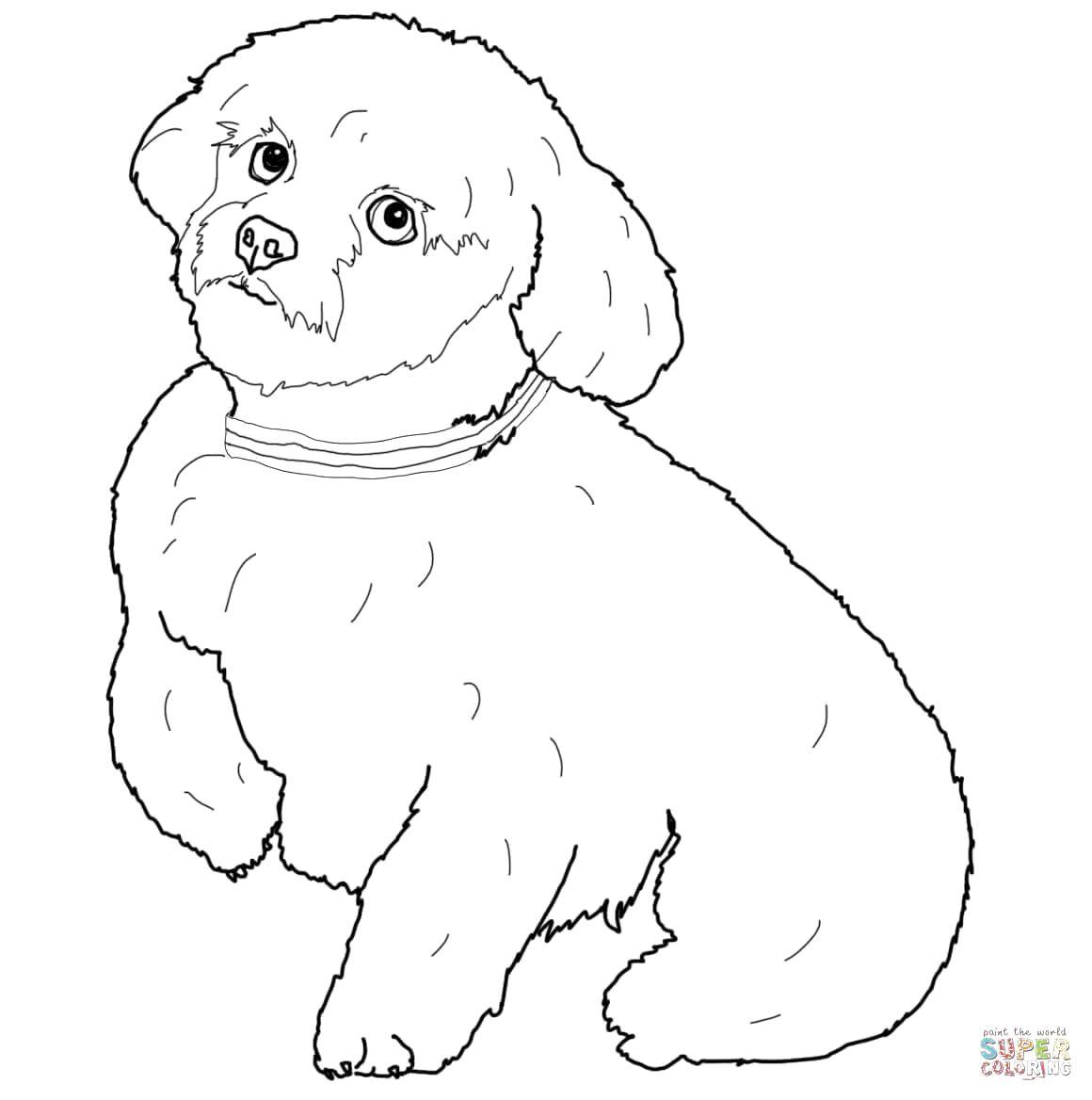 Coloring Little dog. Category Animals. Tags:  Animals, dog.