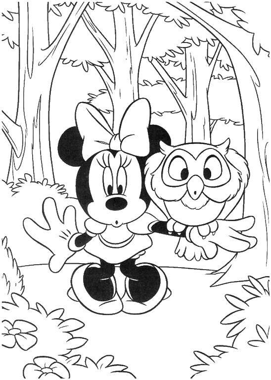 Coloring Mrs. mouse. Category Mickey mouse. Tags:  Mickey mouse, Mrs. mouse.