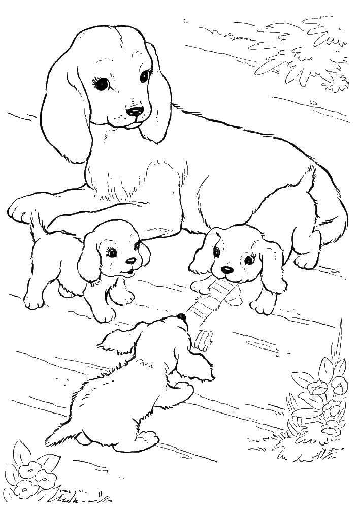 Название: Раскраска Собака с щенками. Категория: домашние животные. Теги: собака, щенки.