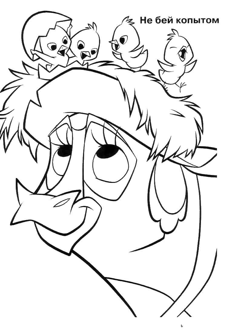 Coloring Chickens on the head Maggie. Category Disney cartoons. Tags:  hooves, horns, chickens.