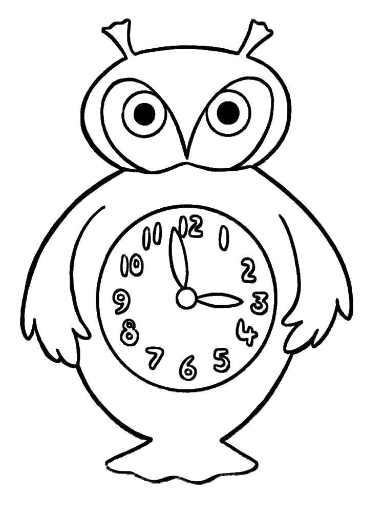 Название: Раскраска Часы сова. Категория: часы. Теги: Часы, сова.