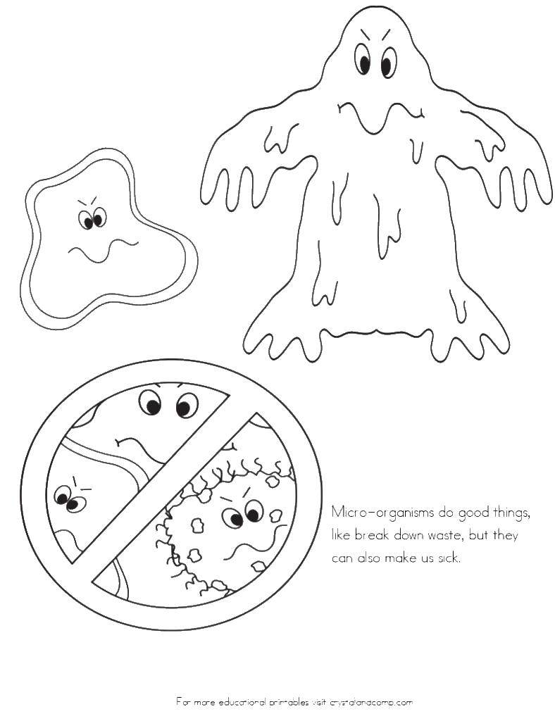 Раскраска Микроорганизмы