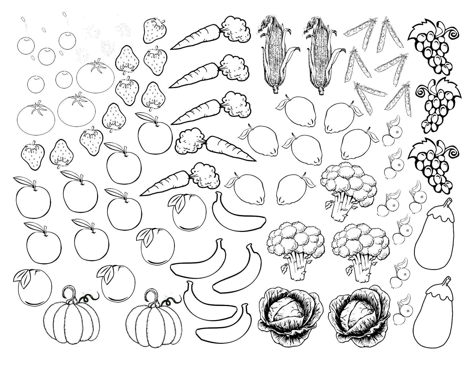 Coloring Fruits and vegetables. Category Vegetables. Tags:  fruits, vegetables.