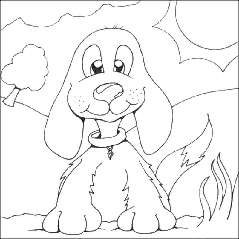 Coloring Dog. Category Pets allowed. Tags:  , dog, .