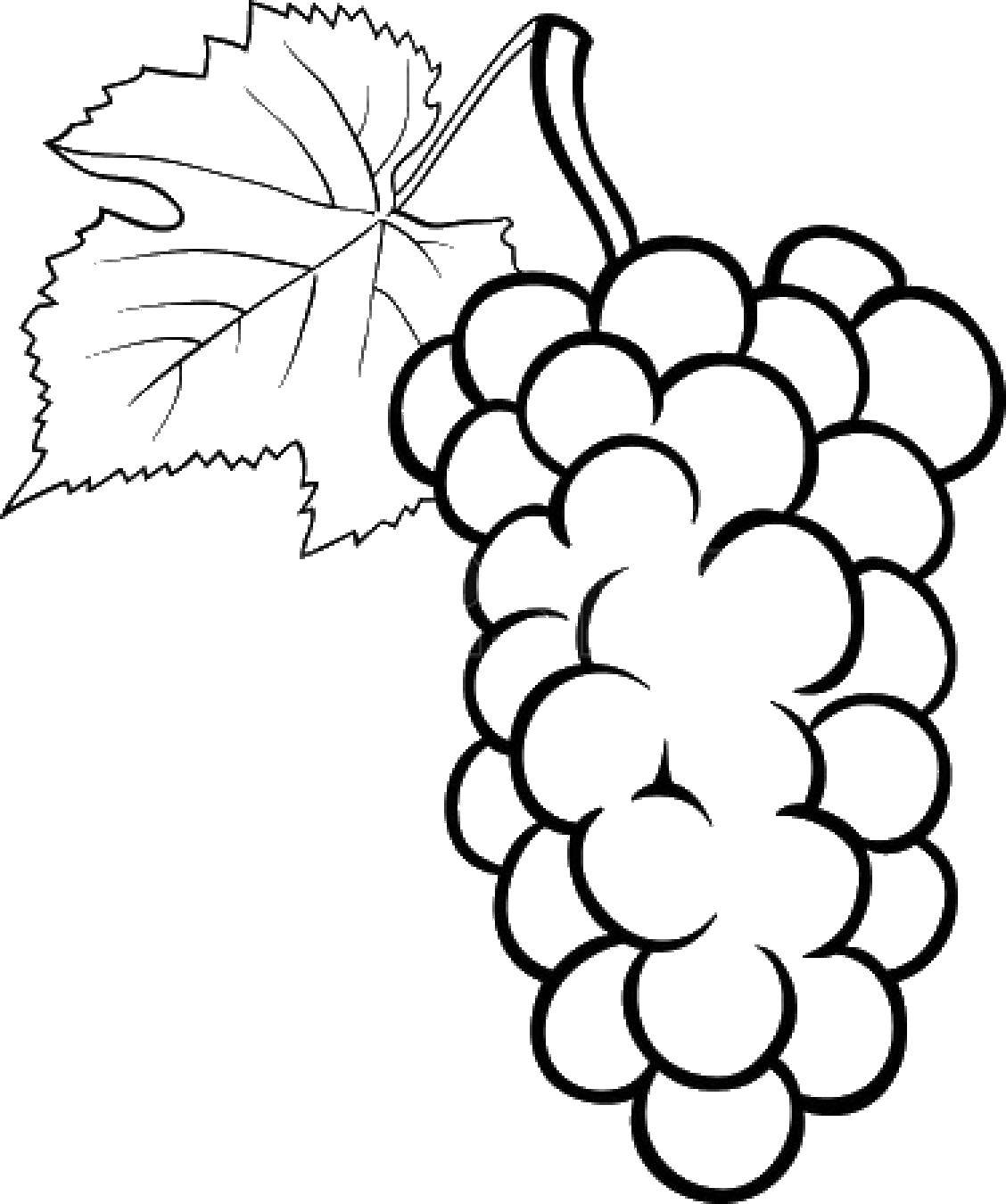 Название: Раскраска Виноград. Категория: фрукты. Теги: виноград, фрукты.