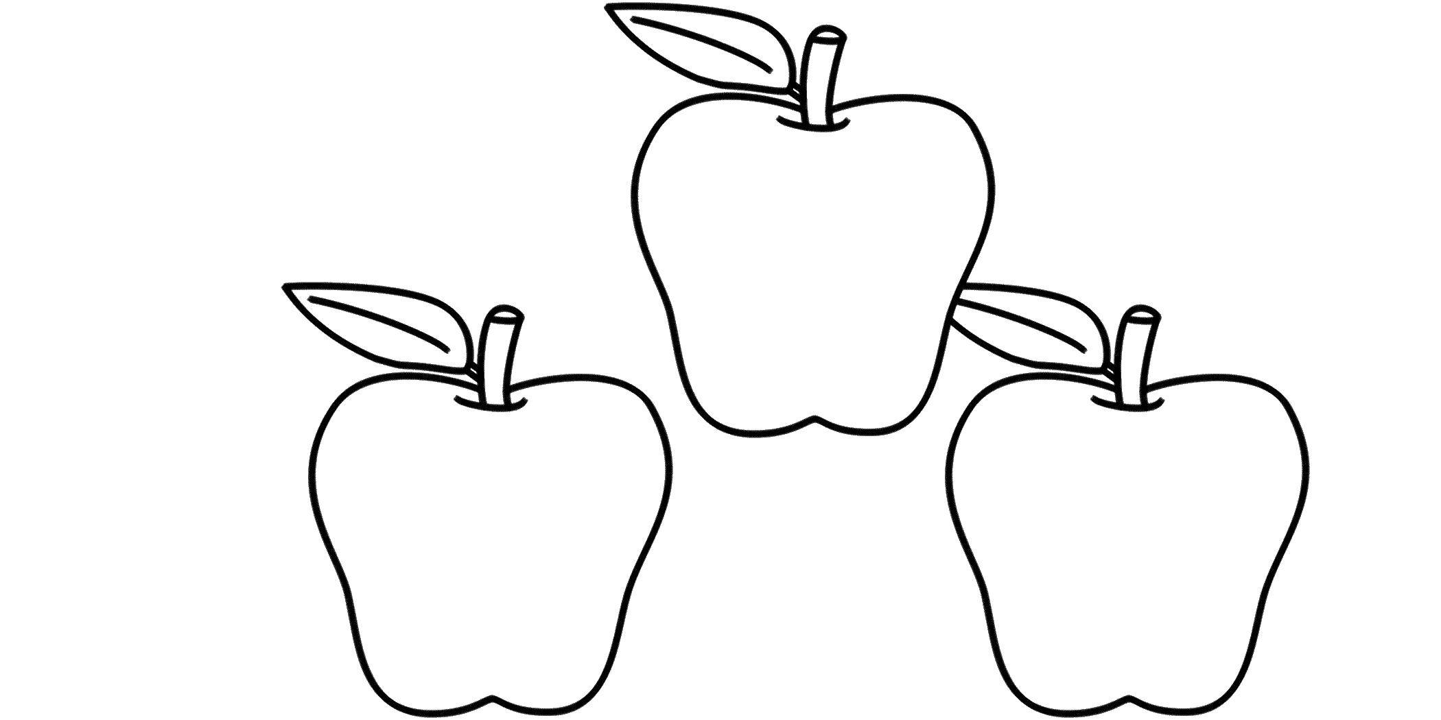 Название: Раскраска Яблоки. Категория: фрукты. Теги: яблоко, фрукты.
