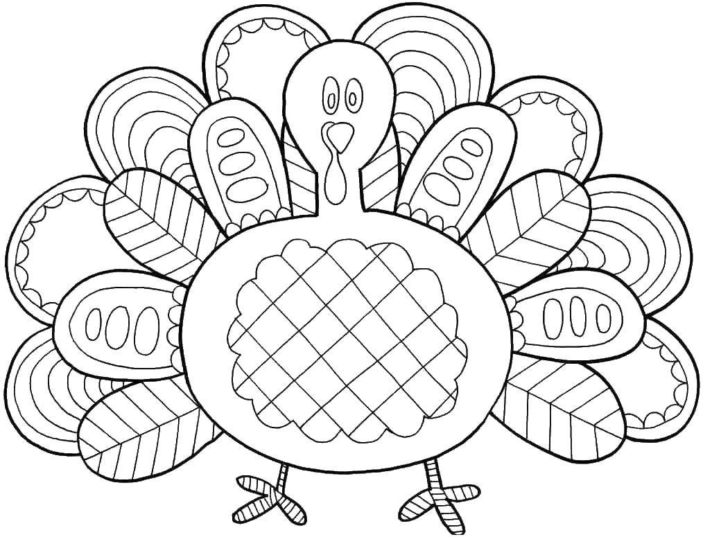 Coloring Turkey. Category birds. Tags:  poultry, turkeys.