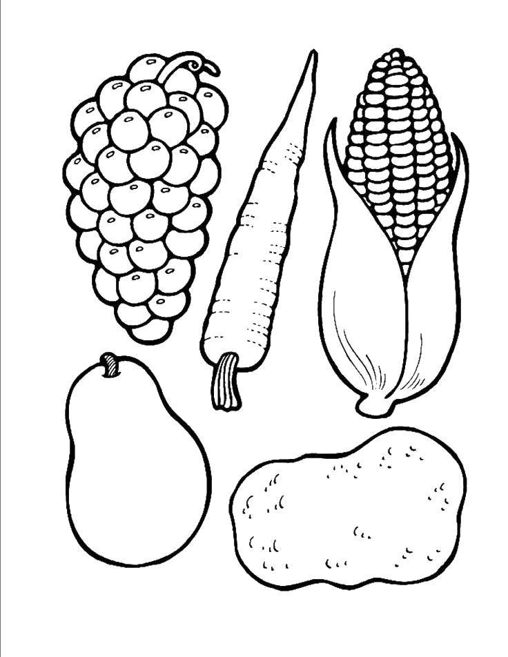 Coloring Vegetables, fruits, berries. Category The food. Tags:  the food.