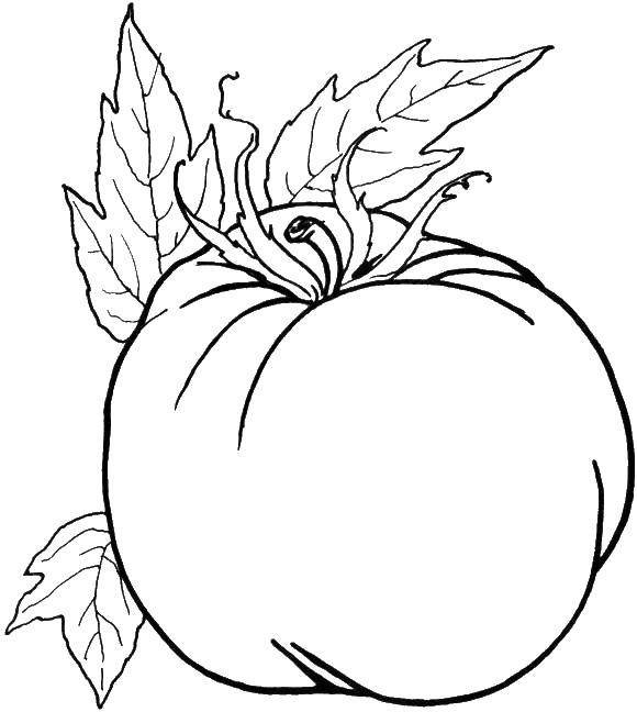 Название: Раскраска Помидор. Категория: Овощи. Теги: Овощи, помидор.