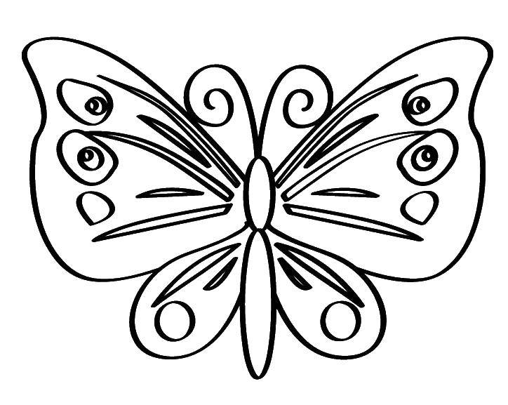 Coloring Butterfly. Category butterflies. Tags:  insects, butterfly.