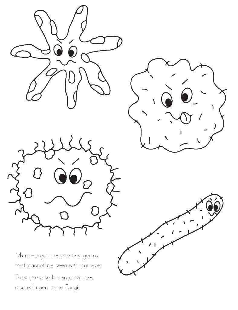 Раскраски Бактерии и Вирусы