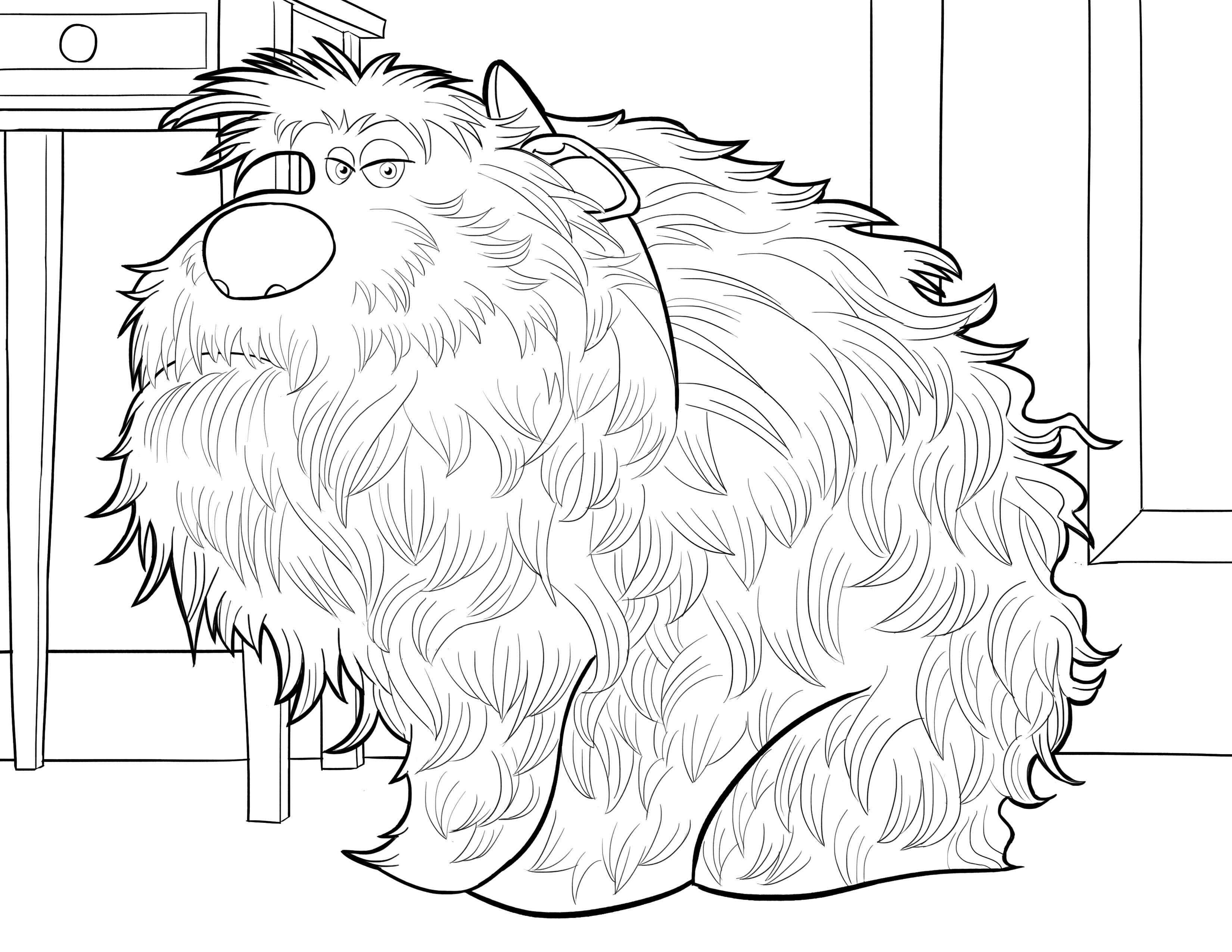 Coloring A big and fluffy dog. Category Pets allowed. Tags:  the dog.