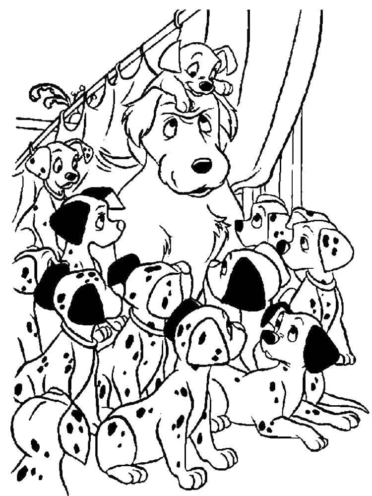 Coloring Dalmatians listen to the story. Category Disney cartoons. Tags:  That 101, Dalmatians.
