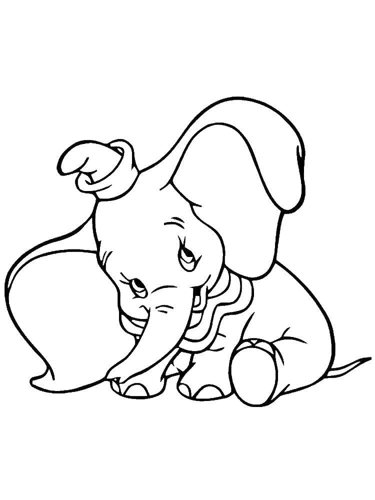 Coloring Elephant. Category Animals. Tags:  animals, elephant.