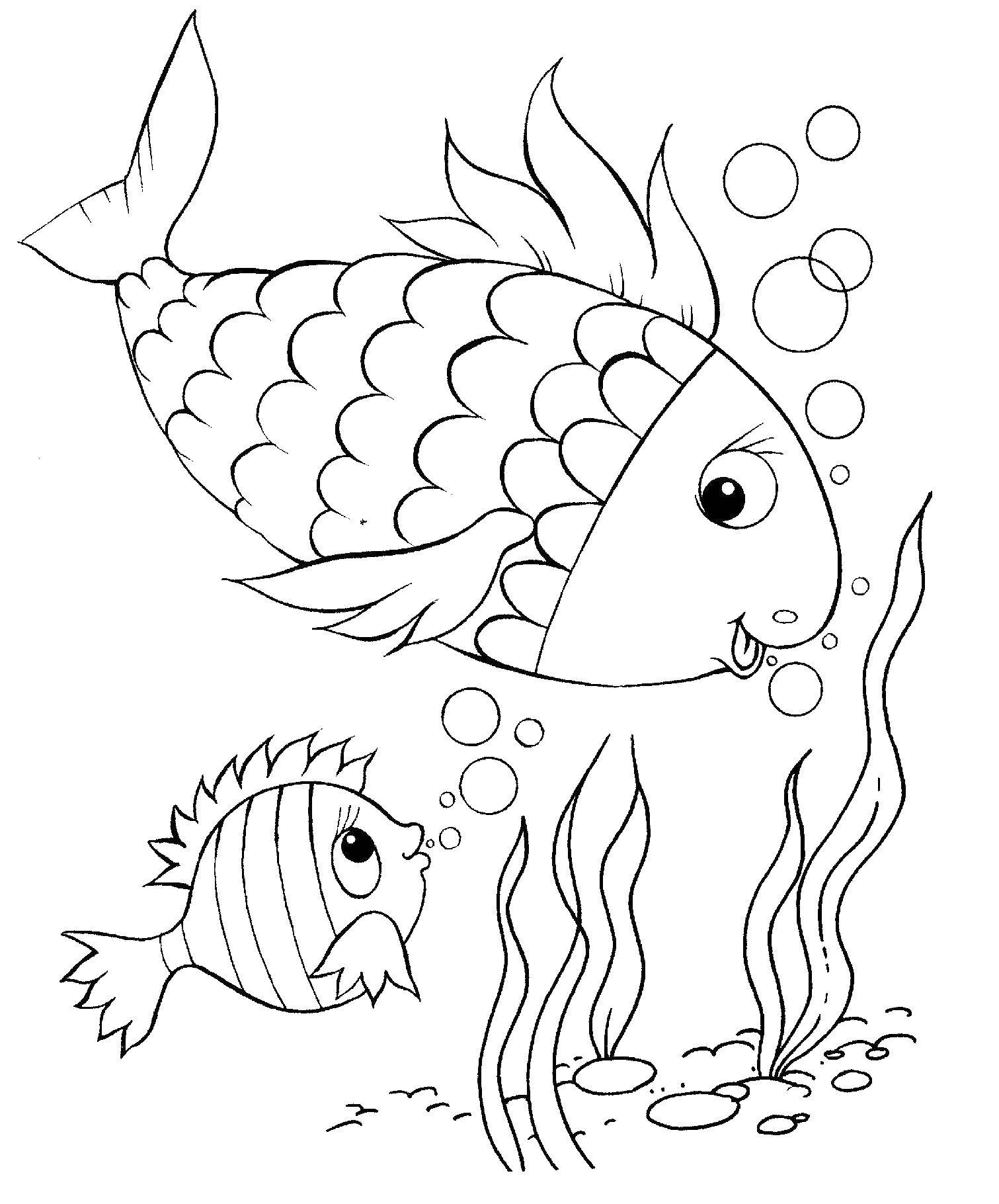 Название: Раскраска Две рыбки в море около дна с водорослями.. Категория: рыбы. Теги: рыбки, море.