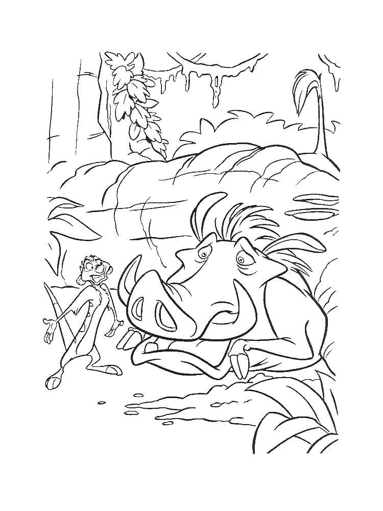 Coloring Cartoon characters Timon and Pumbaa. Category Disney cartoons. Tags:  cartoons, Timon, Pumbaa.