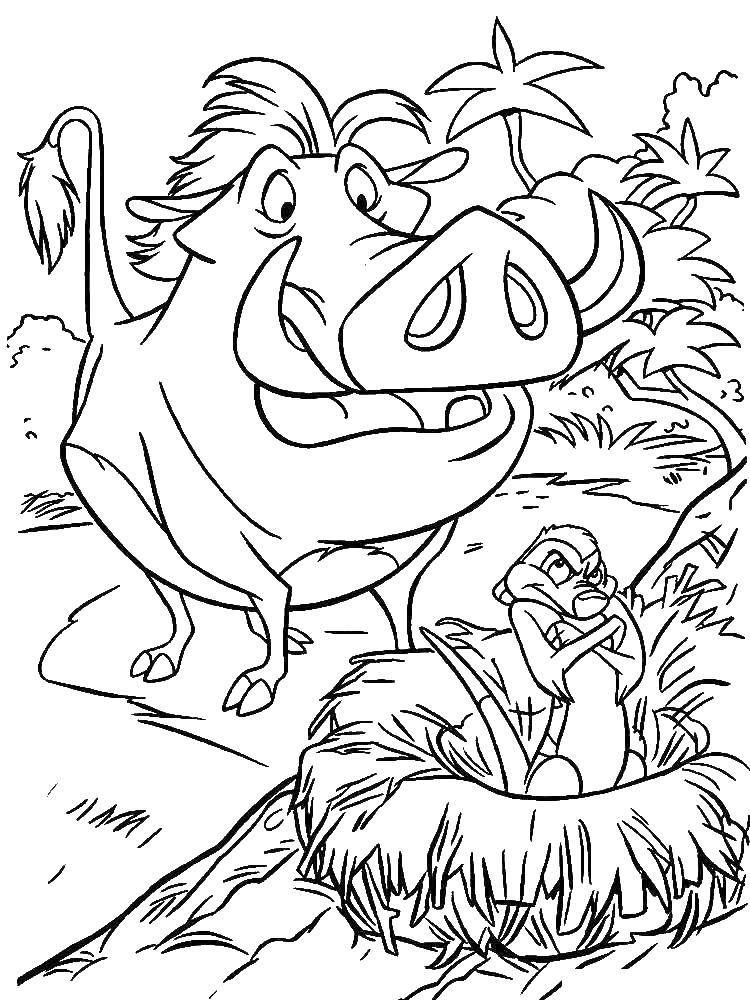 Coloring Timon and Pumbaa. Category Disney cartoons. Tags:  Timon, Pumbaa.