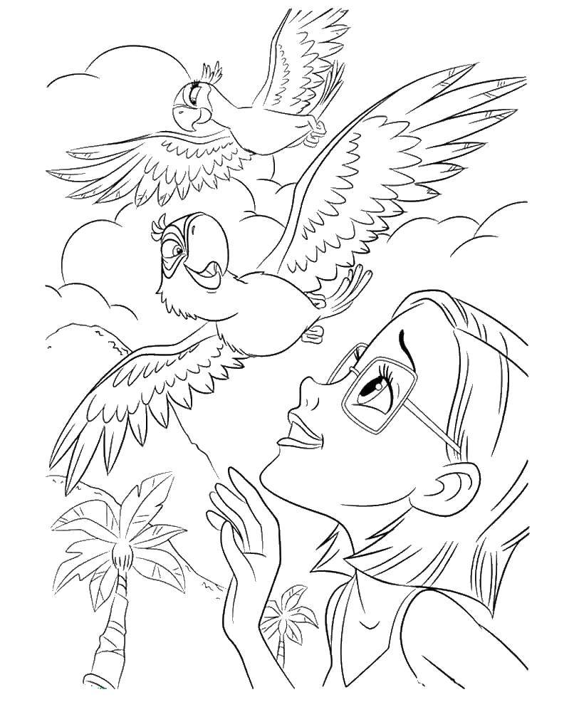 Опис: розмальовки  Лінда радіє голубчику і жемчужинке. Категорія: ріо. Теги:  Лінда, Голубчику, Жемчужинке, папуга, блакитний ара.