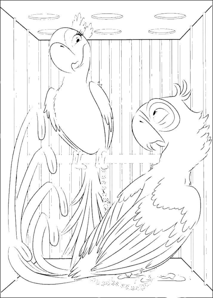 rio jewel coloring pages