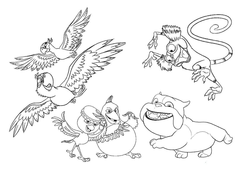 Coloring Cartoon characters. Category Rio . Tags:  Cartoon character.