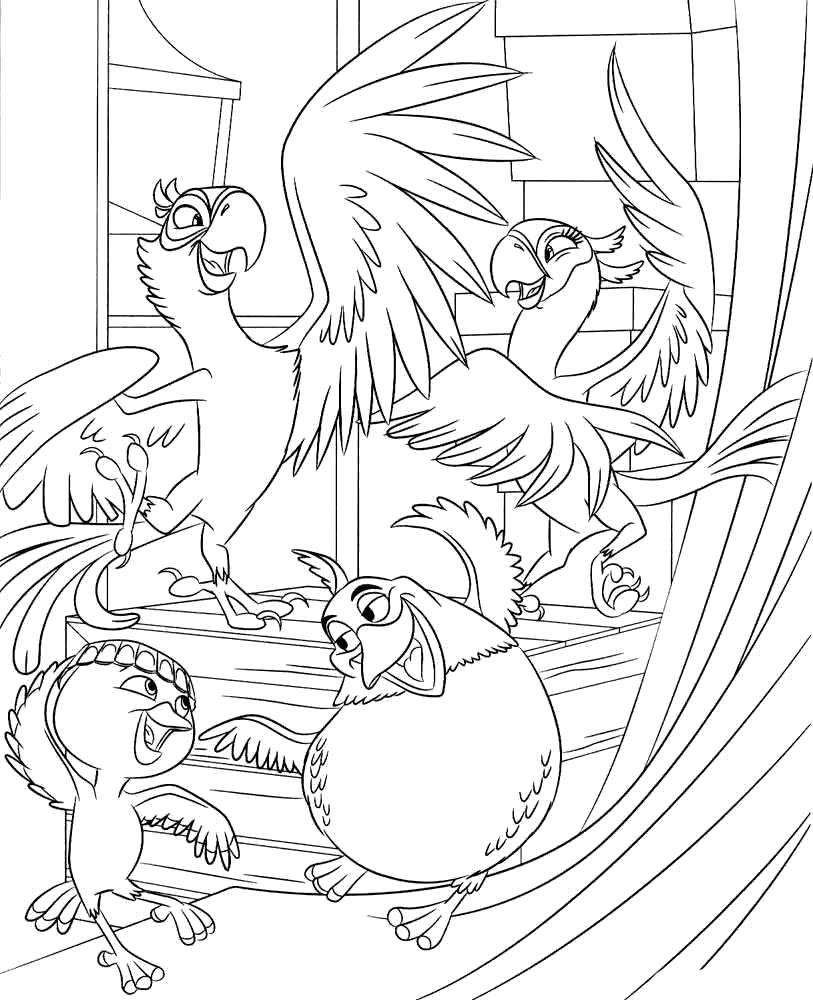 Coloring Parrots. Category Rio . Tags:  Cartoon character.