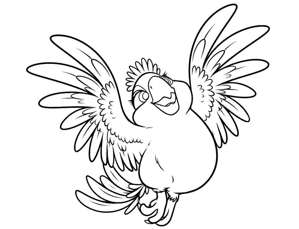 Coloring Bird. Category Rio . Tags:  Cartoon character.