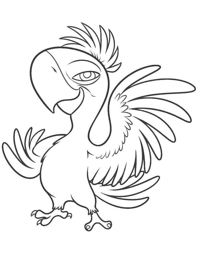 Название: Раскраска голубой ара редкая порода попугаев. Категория: рио. Теги: рио, голубой ара.