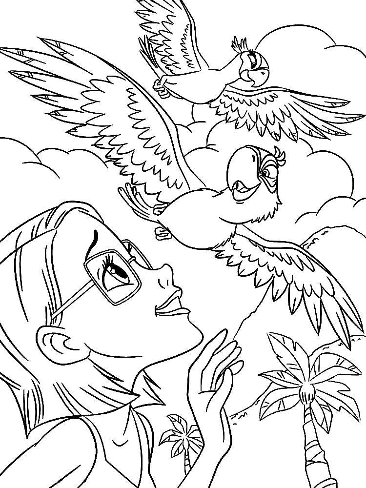 Розмальовки  Лінда радіє голубчику і жемчужинке. Завантажити розмальовку ріо, блакитний ара, папуга.  Роздрукувати ,ріо,