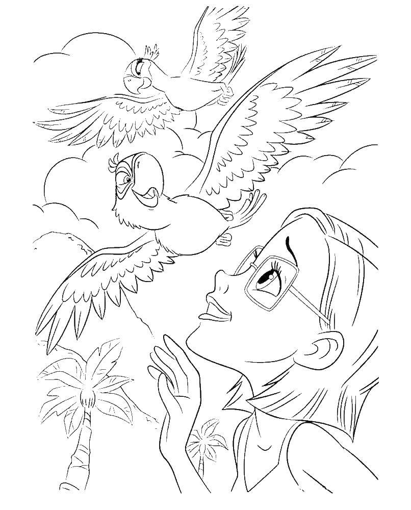 Опис: розмальовки  Лінда радіє голубчику і жемчужинке. Категорія: ріо. Теги:  Ріо, Лінда, Туліо, Голубчику, Перлинка.