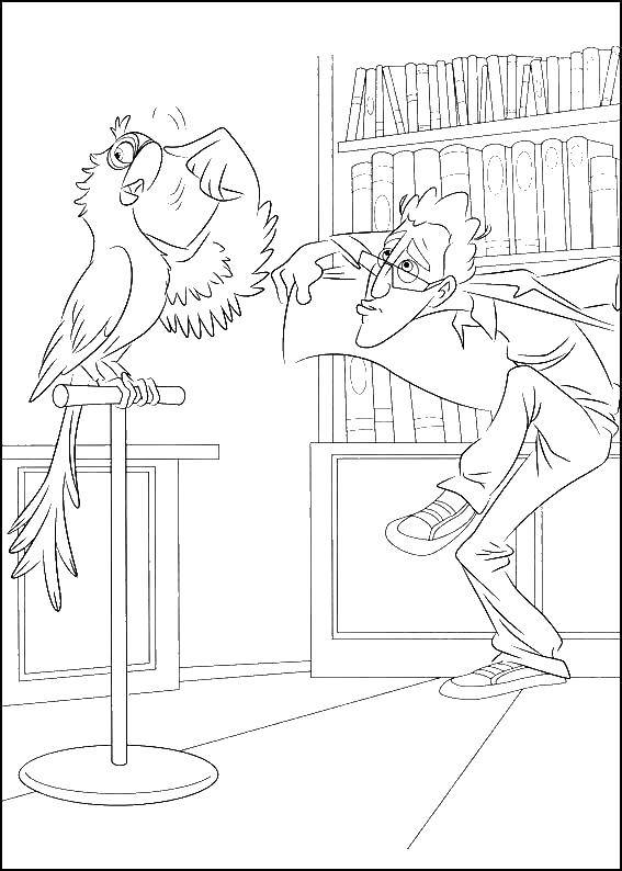 Опис: розмальовки  Туліо вчить літати голубчика. Категорія: ріо. Теги:  Ріо, Лінда, Туліо, Голубчику.