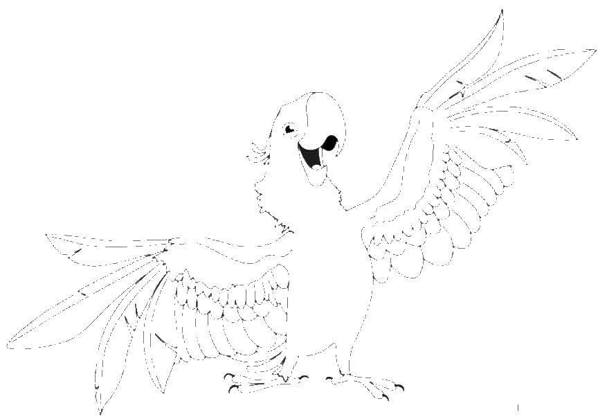 Название: Раскраска Голубчик попугай голубой ара. Категория: рио. Теги: Рио, Линда, Тулио, Голубчик, Жемчужинка.