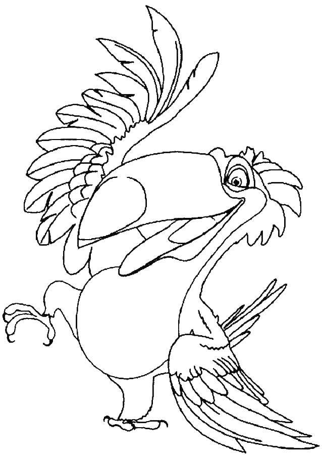 Название: Раскраска Педро краснохохлатая кардиналовая овсянка. Категория: рио. Теги: Рио, Линда, Тулио, Голубчик, Жемчужинка.
