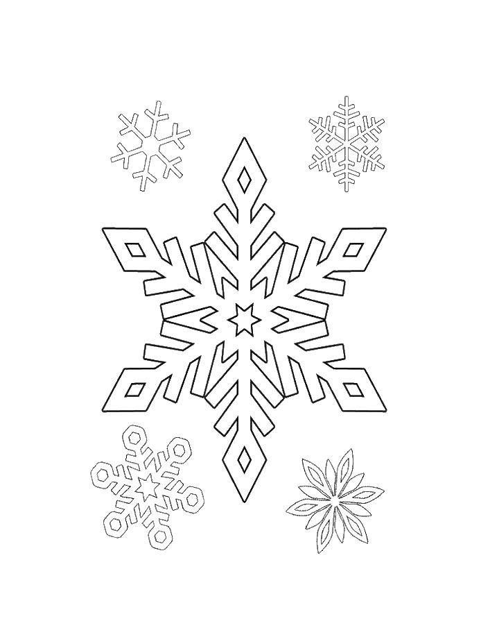 Название: Раскраска Пять снежинок разных видов.. Категория: снег. Теги: снег, снежинки.
