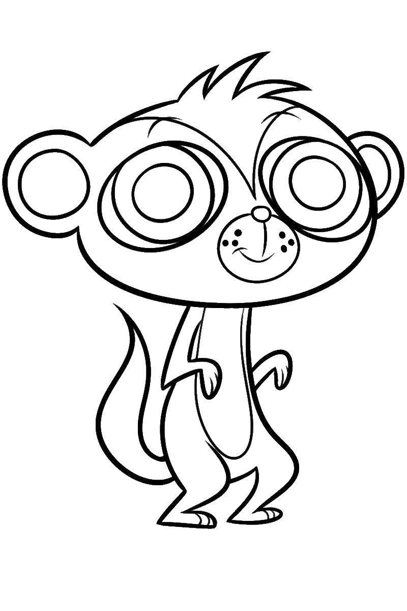 Coloring Monkey with big eyes. Category my little zoomharis. Tags:  monkey, eyes, shop.