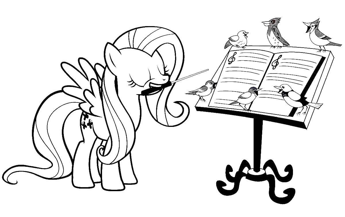 Название: Раскраска Флаттершай с птичками. Категория: мой маленький пони. Теги: мой маленький пони, флаттершай.