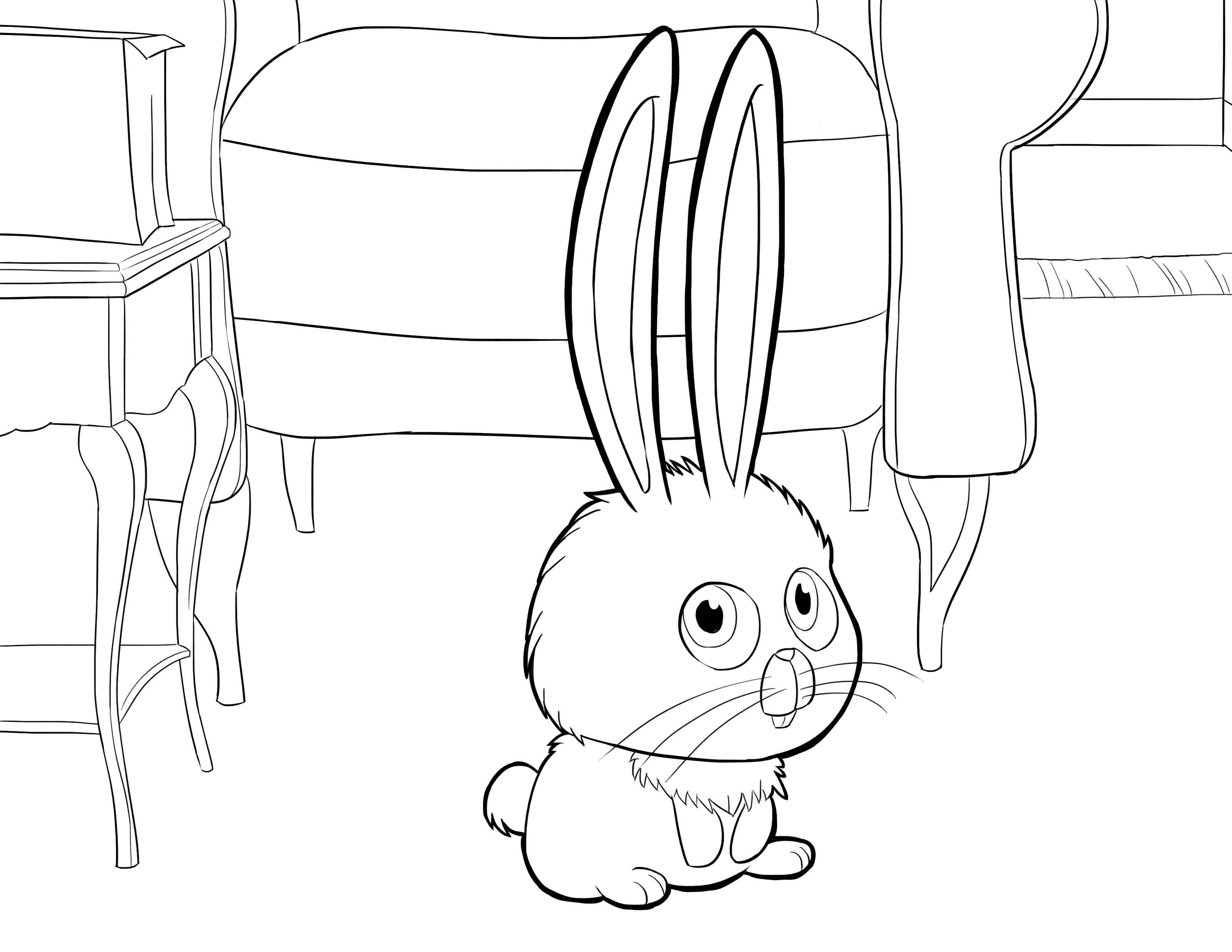 Coloring Drawing, Bunny. Category Pets allowed. Tags:  Bunny.