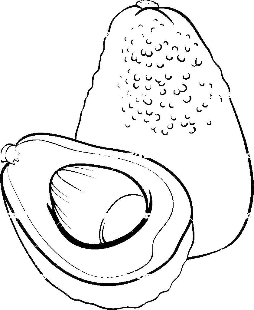 Online Coloring Pages Coloring Page Avocado Fruit Download Print Coloring Page