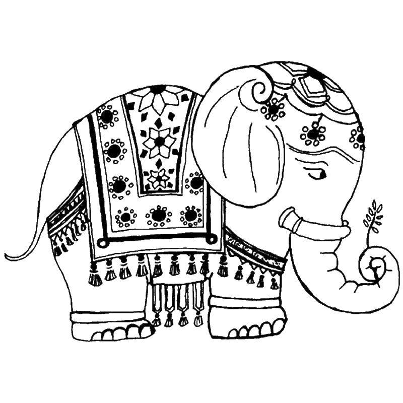 Название: Раскраска Индийский слон. Категория: Животные. Теги: слон, Животные.